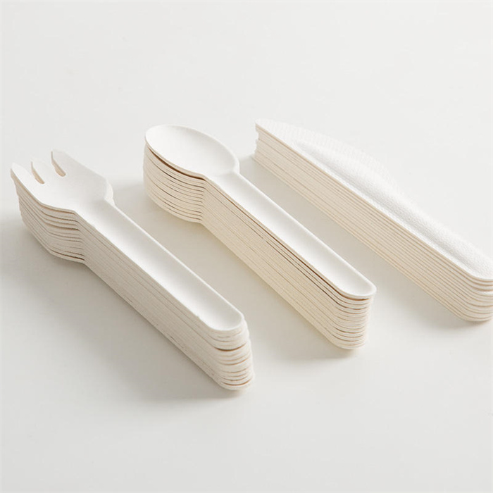 Sugarcane Bagasse Cutlery from mmcis china